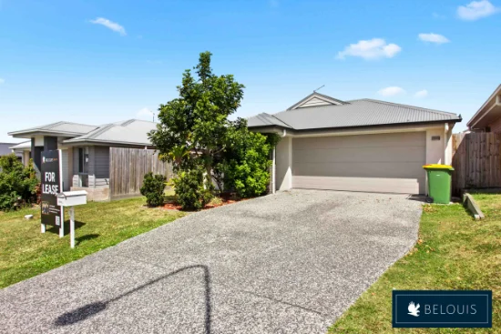 9 Nevada Road, Park Ridge, Qld 4125