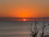 9 Newberry Avenue, Bonbeach, Vic 3196-Image