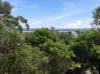 9 Noble Street, Venus Bay, Vic 3956-Image