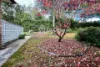 9 Pelsart Street, Red Hill, ACT 2603-Image