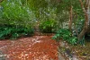 9 Percy Street, Prospect, SA 5082-Image