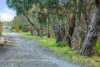 9 Piaffe Lane, Woodcroft, SA 5162-Image