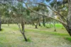 9 Piaffe Lane, Woodcroft, SA 5162-Image