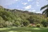 9 Pit Road, Wombarra, NSW 2515-Image