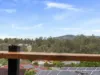 9 Quandong Crescent, Arana Hills QLD 4054-Image