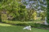 9 Ransome Street, Pomona, Qld 4568-Image