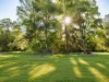 9 Ransome Street, Pomona, Qld 4568-Image