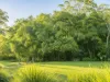 9 Ransome Street, Pomona, Qld 4568-Image
