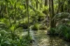 9 Ransome Street, Pomona, Qld 4568-Image