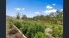 9 Regis Avenue, Warragul, Vic 3820-Image