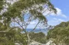 9 Richardson Boulevard, Lorne, Vic 3232-Image