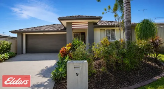 9 Ronnie St, Cleveland, Qld 4163