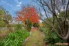 9 Rubbo Crescent, Weston, ACT 2611-Image