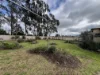 9 Rutledge Street, Kilmore, Vic 3764-Image