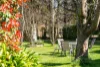 9 Rytina Place, Moss Vale, NSW 2577-Image