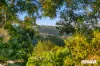 9 Saint James Court, Nambour, Qld 4560-Image