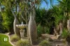 9 Sandhurst Place, Brassall, Qld 4305-Image