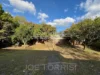 9 Shepherd Street, Mareeba, Qld 4880-Image