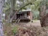 9 Sollya Crescent, Dwellingup, WA 6213