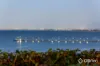 9 Somme Avenue, Frankston, Vic 3199-Image