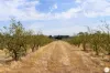 9 Stag Road, Allendale, Vic 3364-Image