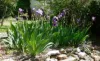 9 Summerhill Road, West Hobart, Tas 7000-Image