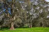 9 Summit Road, Meadows, SA 5201-Image