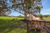 9 Summit Road, Meadows, SA 5201-Image