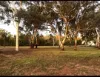 9 Suttons Lane, Coonabarabran, NSW 2357-Image