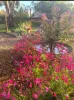 9 Suttons Lane, Coonabarabran, NSW 2357-Image