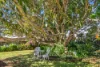 9 Tamarin Drive, Mapleton, Qld 4560-Image