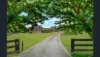 9 Tarcoola Place, Ellis Lane, NSW 2570-Image