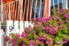 9 Tavistock Road, Austins Ferry, Tas 7011-Image