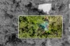 9 Terrymont Road, Warrimoo, NSW 2774-Image