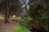9 Thames Drive, Reynella, SA 5161-Image
