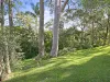 9 The Appian Way, Avalon Beach, NSW 2107-Image
