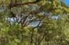 9 The Scenic Road, Killcare Heights, NSW 2257-Image