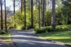 9 Thomas Close, Berry NSW 2535-Image
