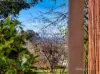 9 Three Mile Line Road, Downlands, Tas 7320-Image