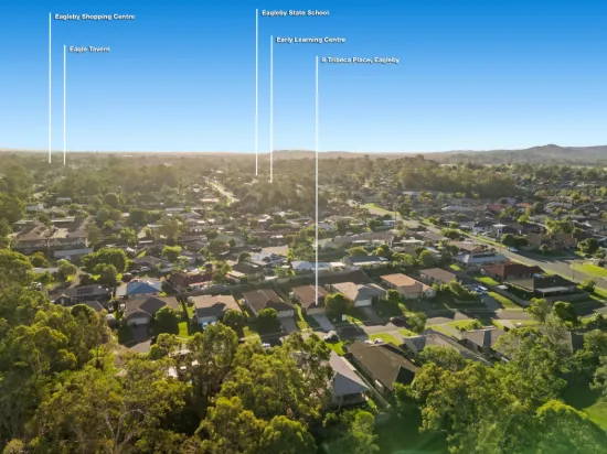 9 Tribeca Place, Eagleby, Qld 4207-Image