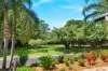 9 Trivia Street, Palm Cove, Qld 4879-Image