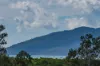 9 Tulipoak Drive, Woodwark, Qld 4802-Image