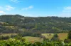 9 Vail Court, Bilambil Heights, NSW 2486-Image