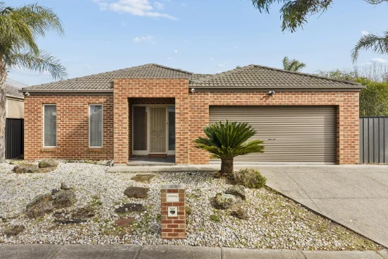 9  Waldburg Grove, Tarneit, Vic 3029