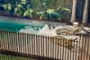 9 Walker Street, Byron Bay, NSW 2481-Image