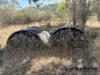 9 Wallace Court West, Glen Aplin, Qld 4381-Image
