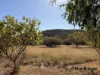 9 Wallace Court West, Glen Aplin, Qld 4381-Image