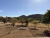 9 Wallace Court West, Glen Aplin, Qld 4381-Image