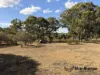 9 Wallace Court West, Glen Aplin, Qld 4381-Image