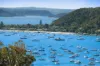 9 Wandearah Avenue, Avalon Beach, NSW 2107-Image